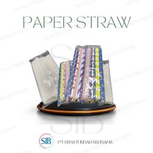 Paper Straw - LANCIP